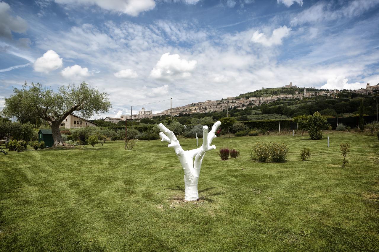 Tenuta San Masseo - Boutique Farm Resort & Spa Ассізі Екстер'єр фото